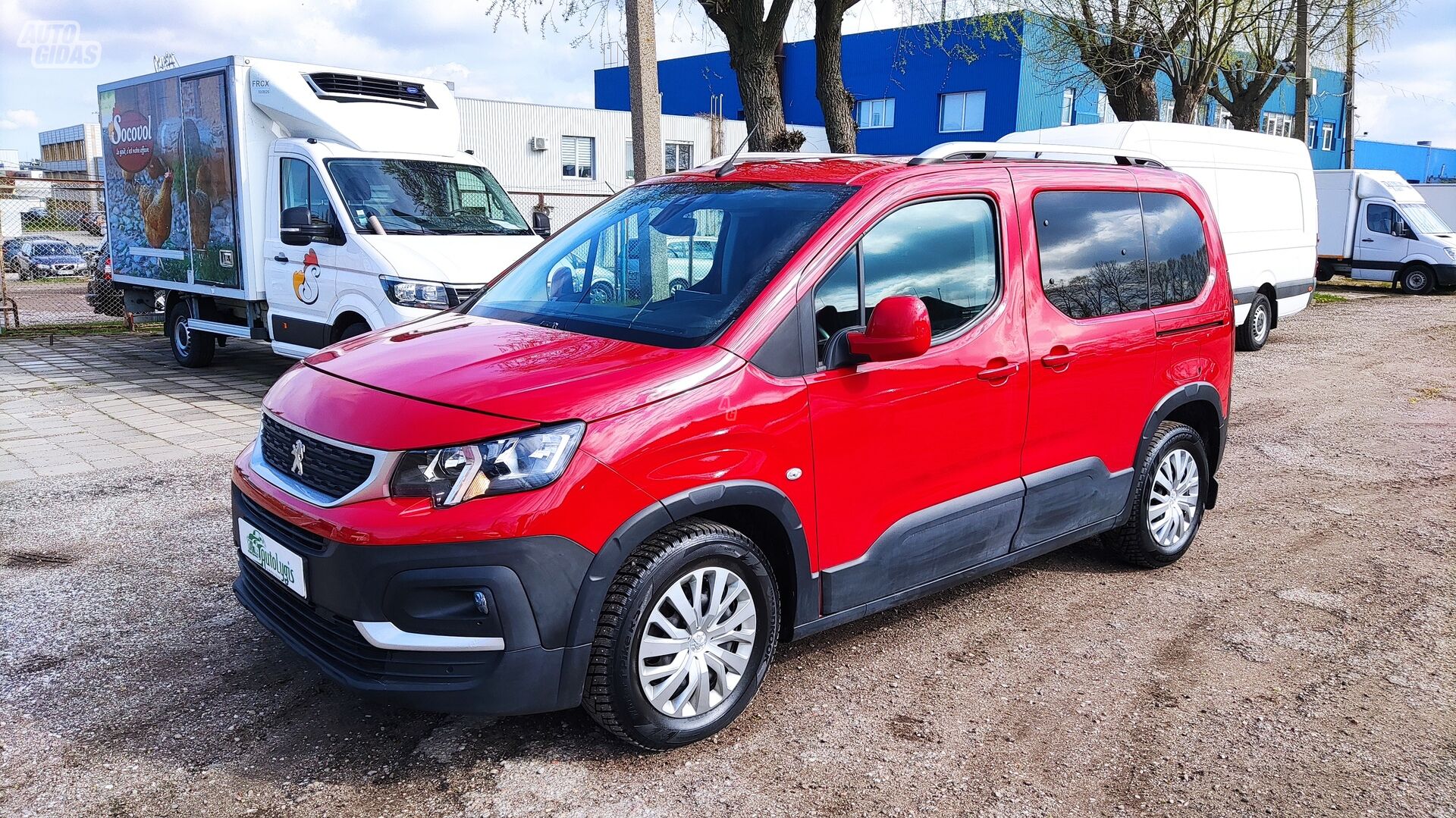 Peugeot Rifter 2019 y Van
