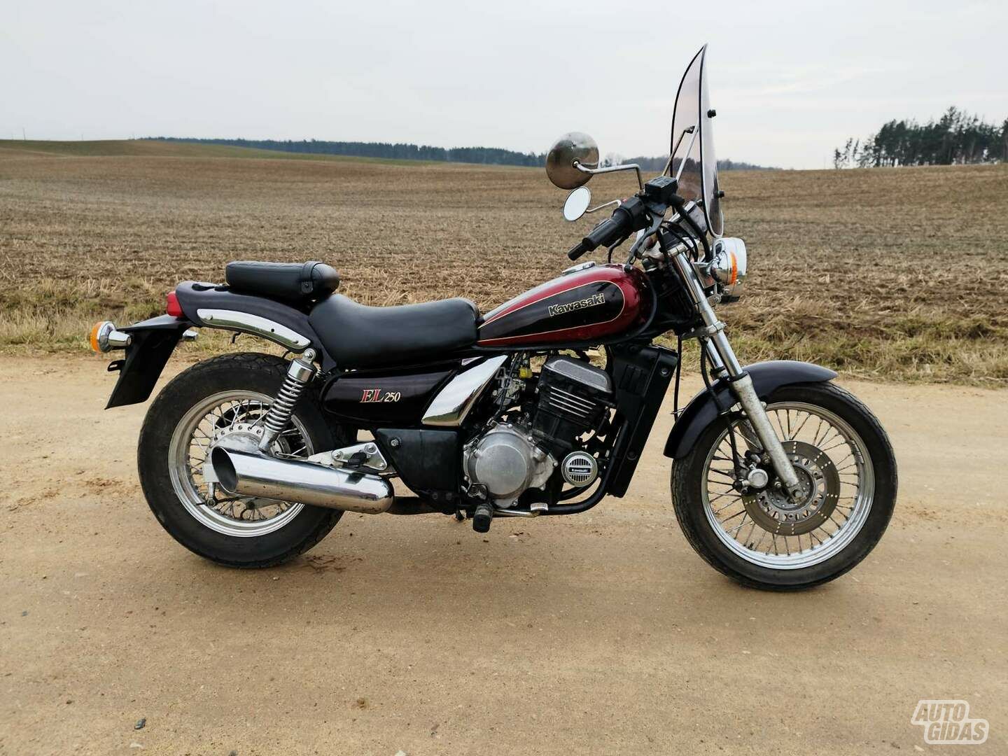 Kawasaki EN 2001 г Чопер / Cruiser / Custom мотоцикл
