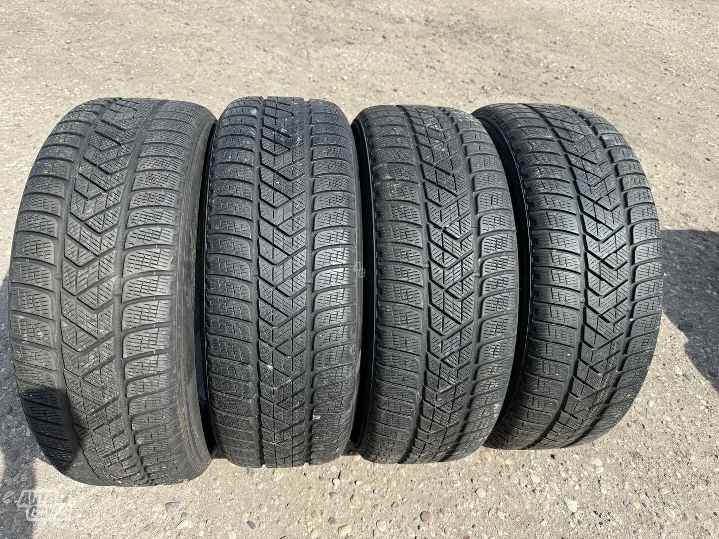 Pirelli Siunciam, 7mm 2019m R18 universal tyres passanger car