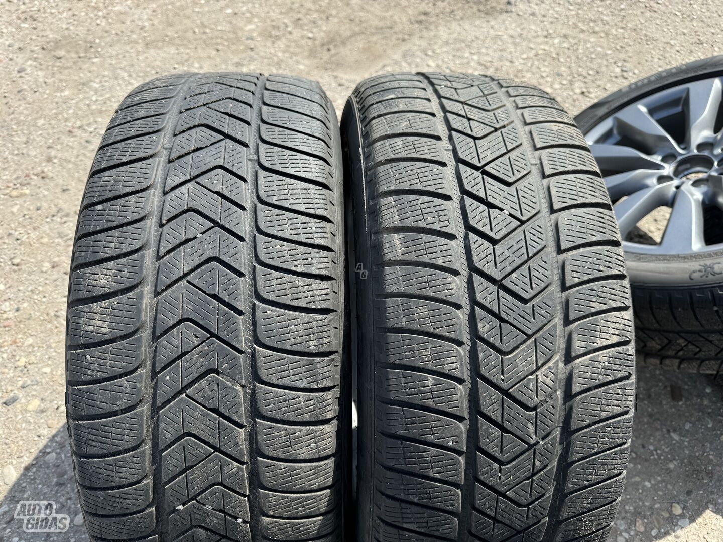 Pirelli Siunciam, 5mm R19 universal tyres passanger car
