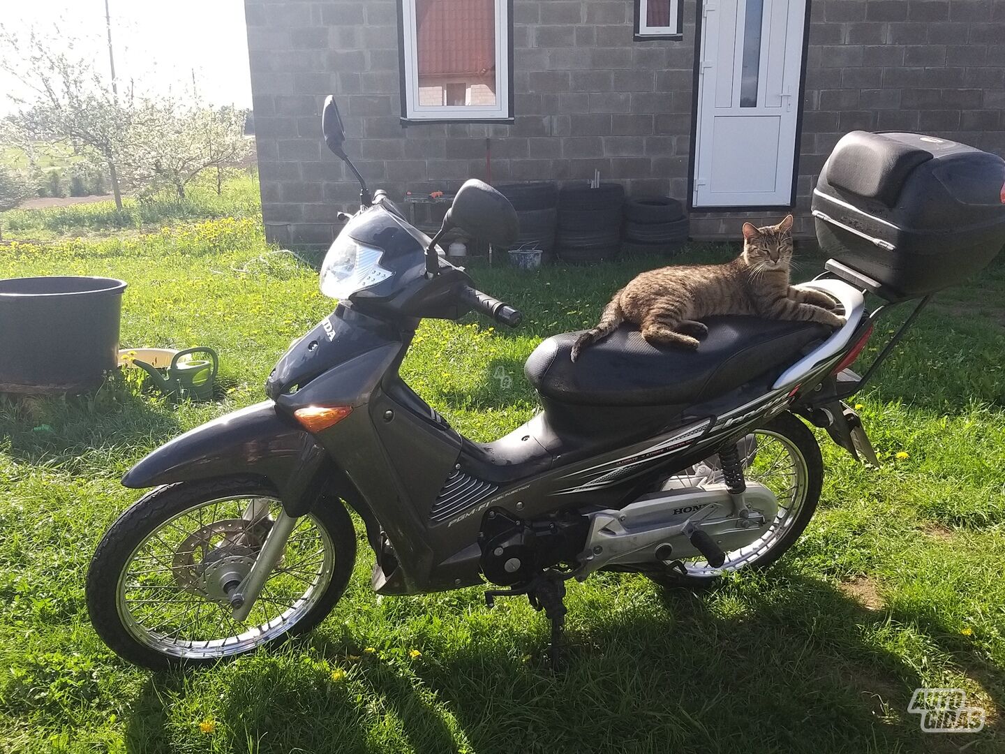 Honda ANF 2008 y Scooter / moped