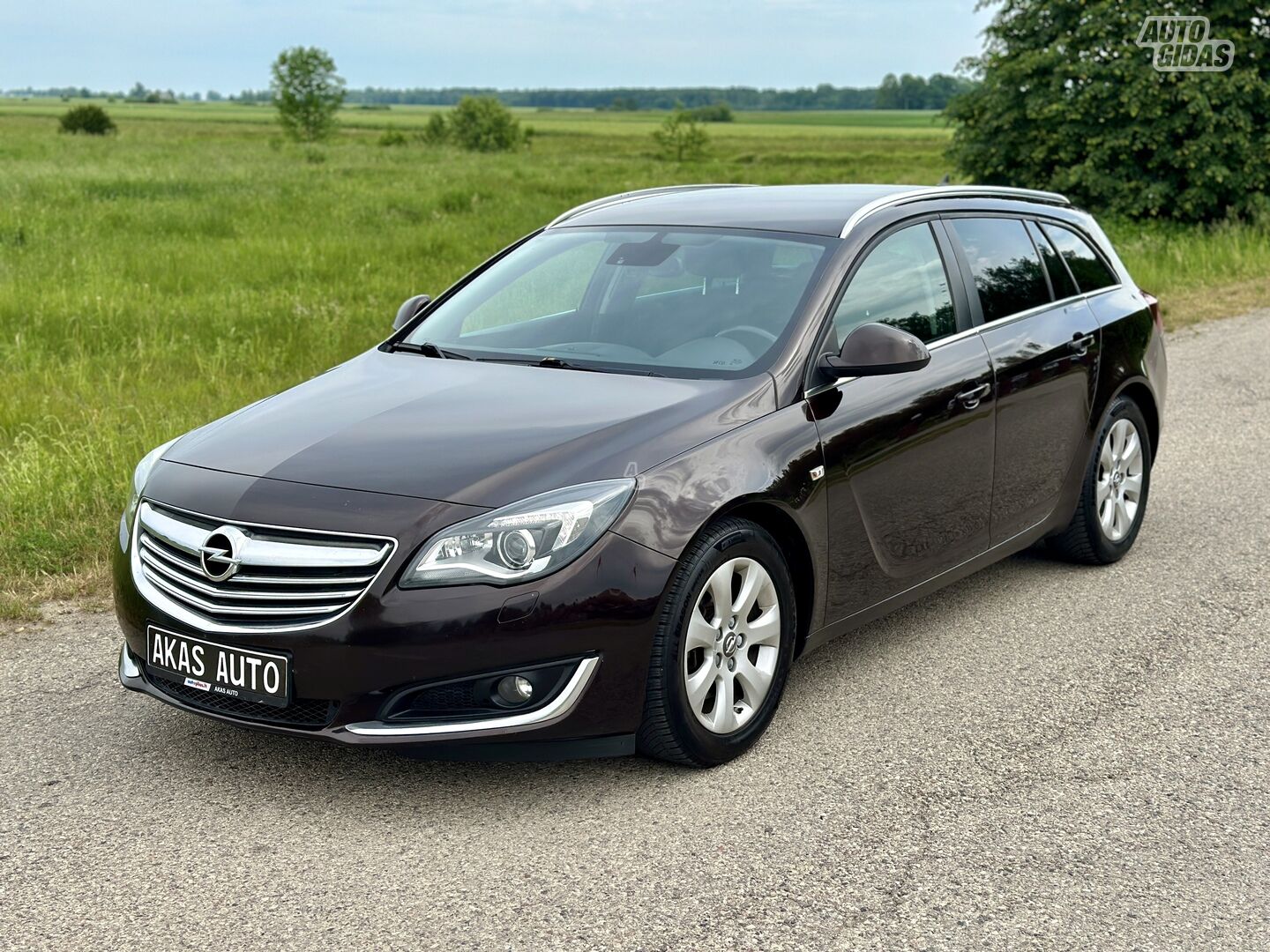 Opel Insignia 2014 y Wagon