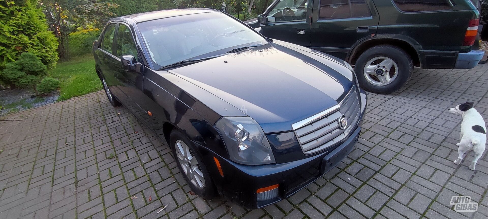 Cadillac CTS 2006 m Sedanas