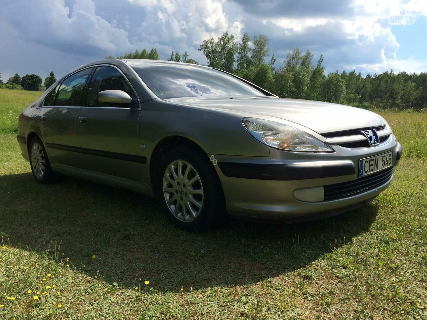 Peugeot 607 HDI 2001 y