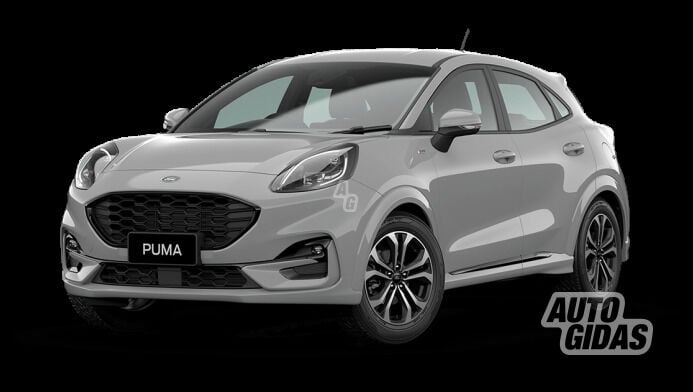 Ford Puma 2020 y rent