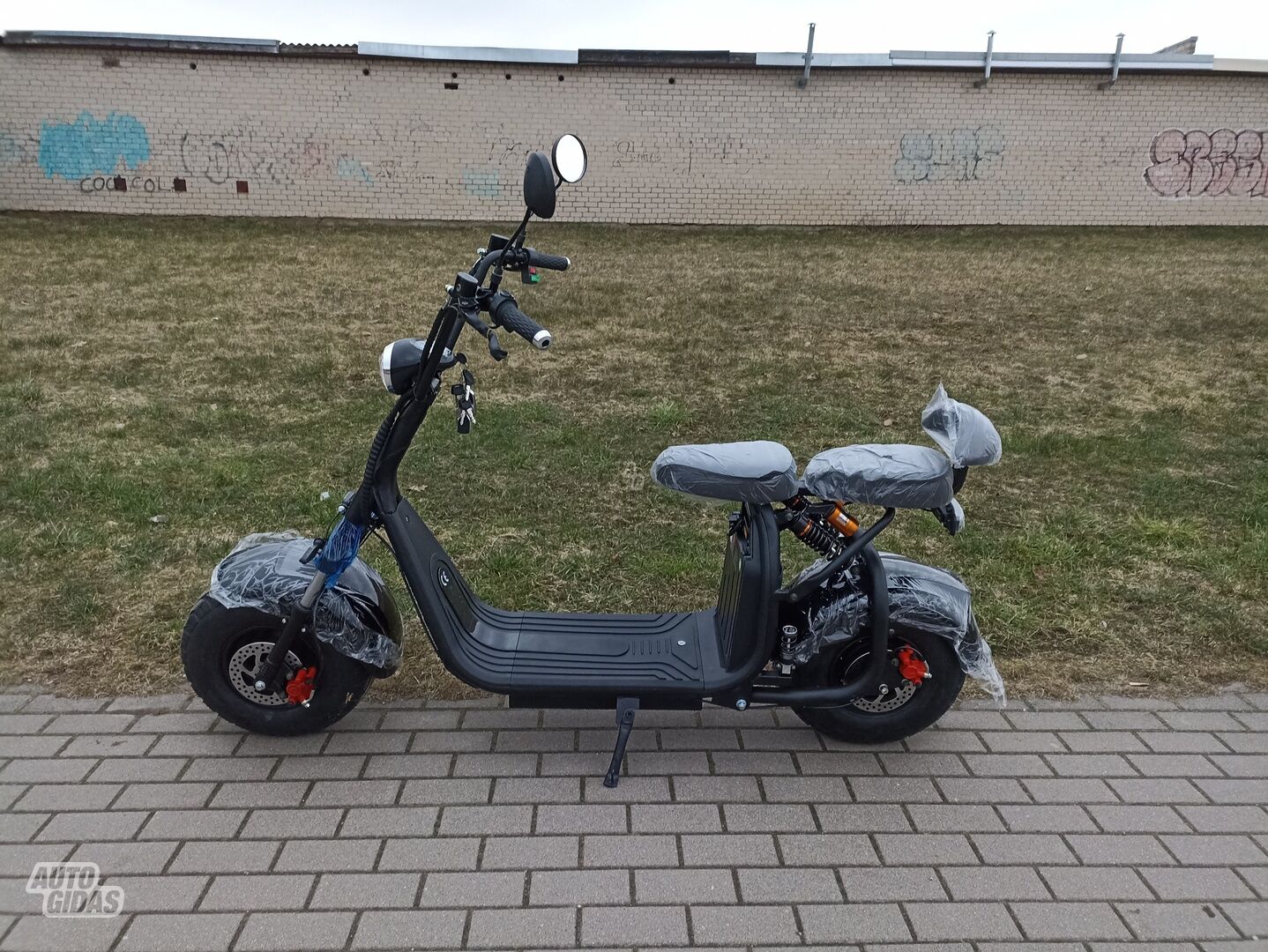 Citycoco Electric scooter