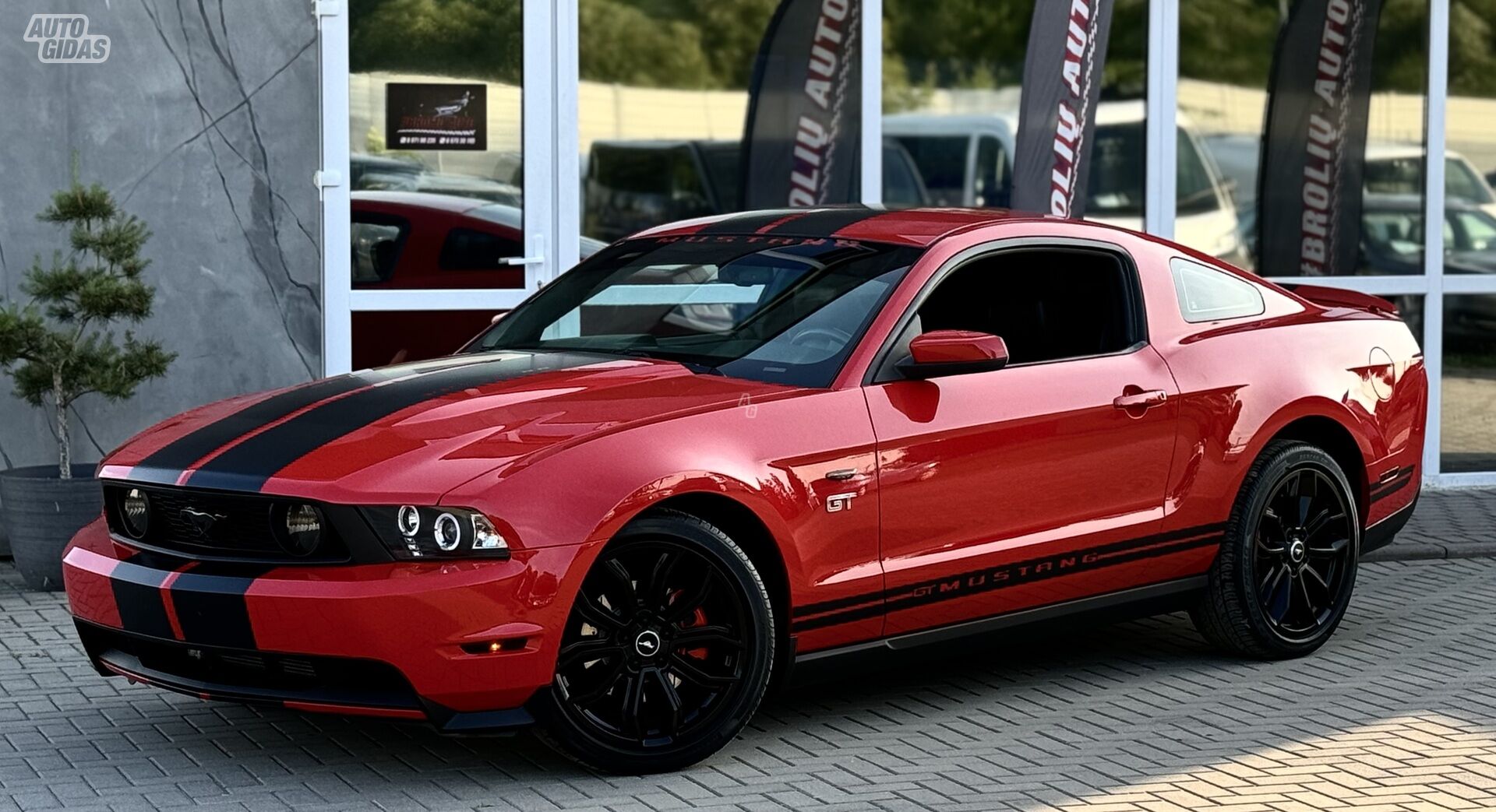 Ford Mustang GT 2010 y