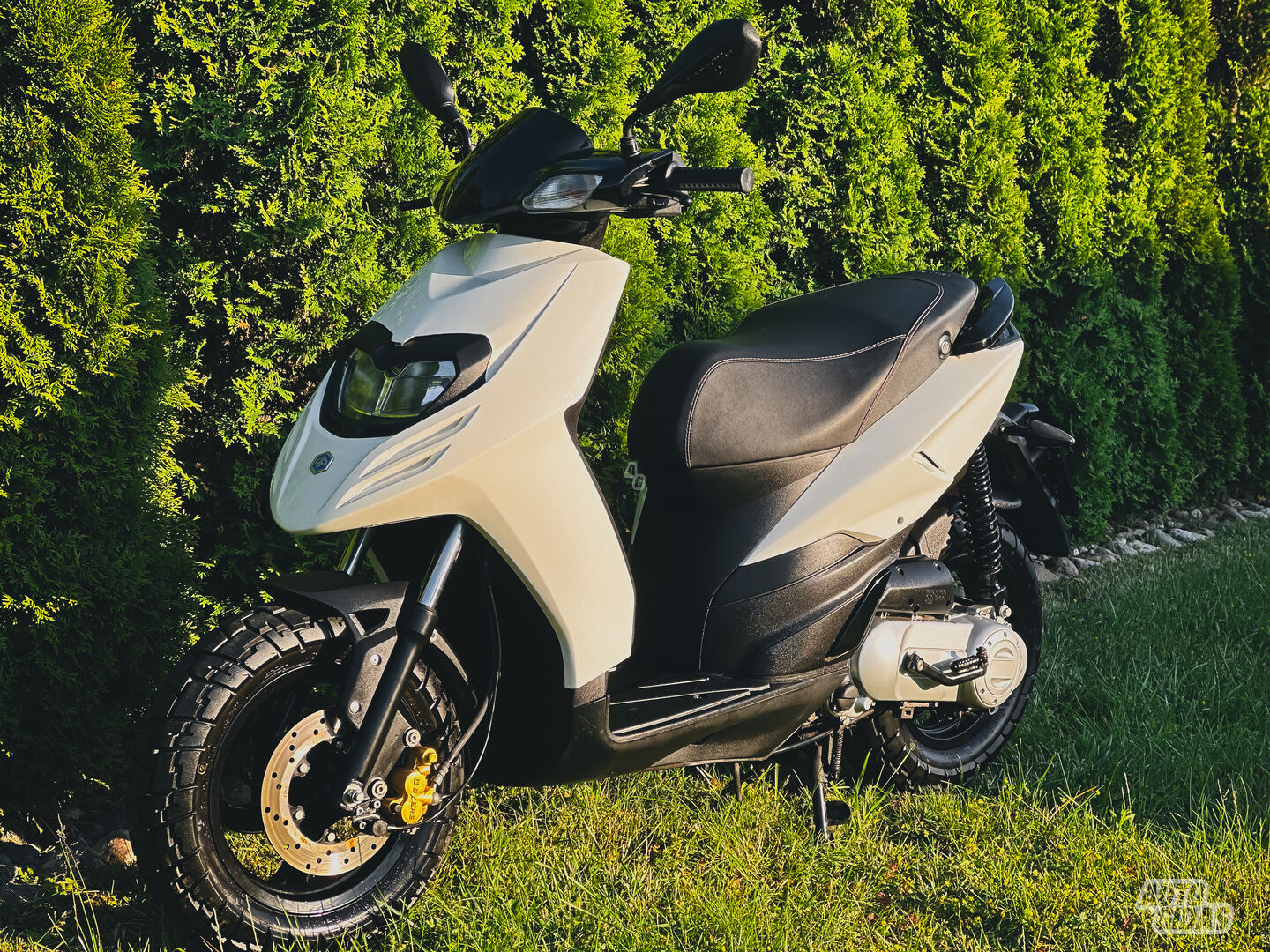Piaggio Typhoon 2021 y Scooter / moped