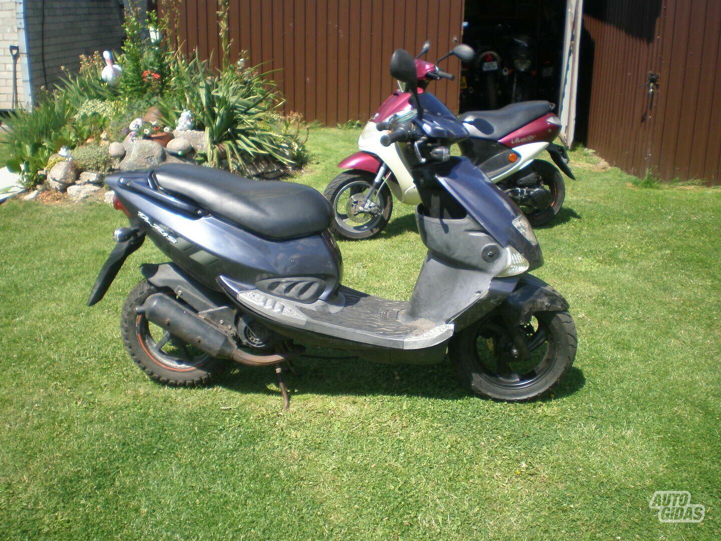 PGO Big max 2010 y Scooter / moped