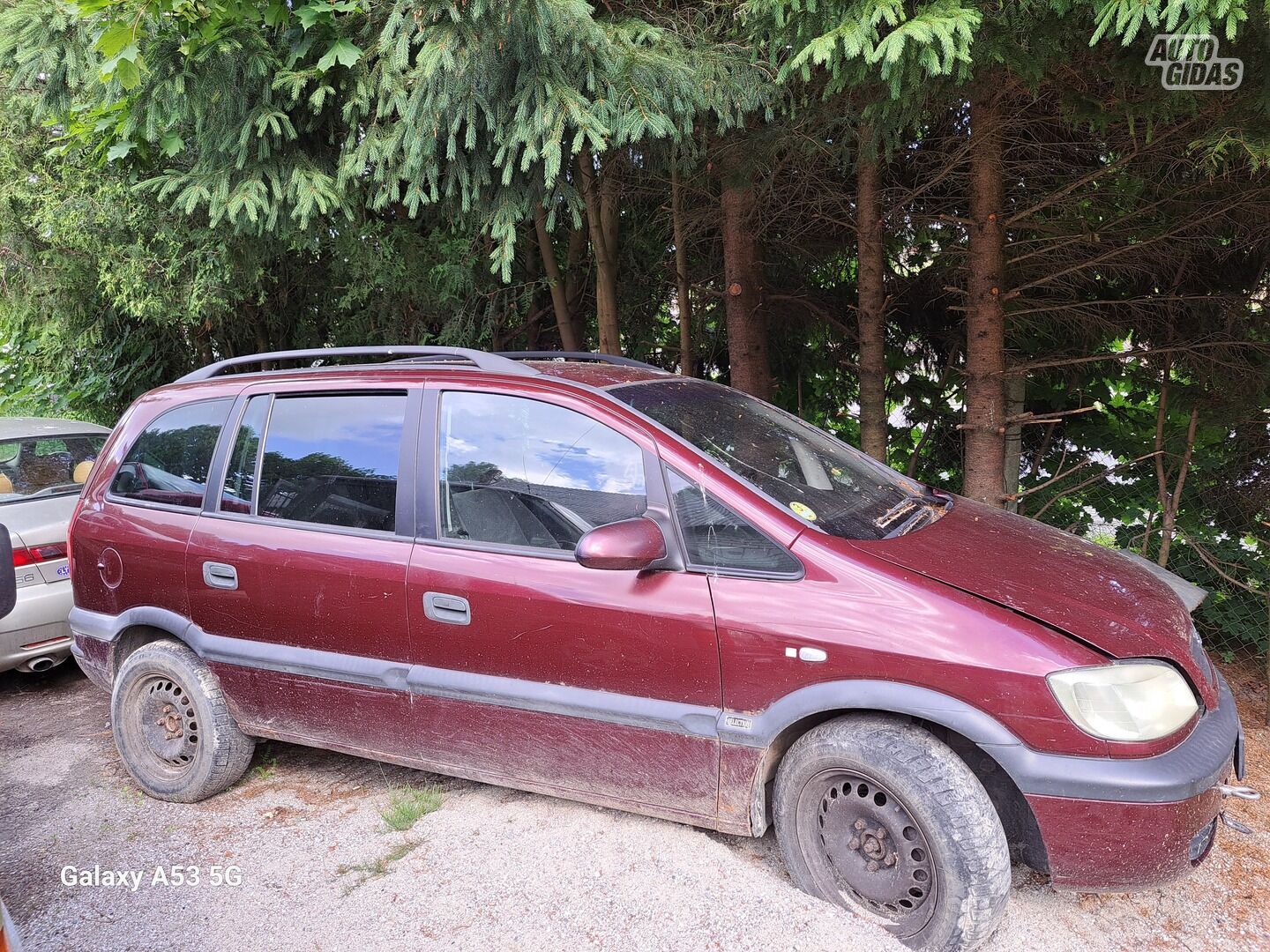 Opel Signum DTI 2004 m