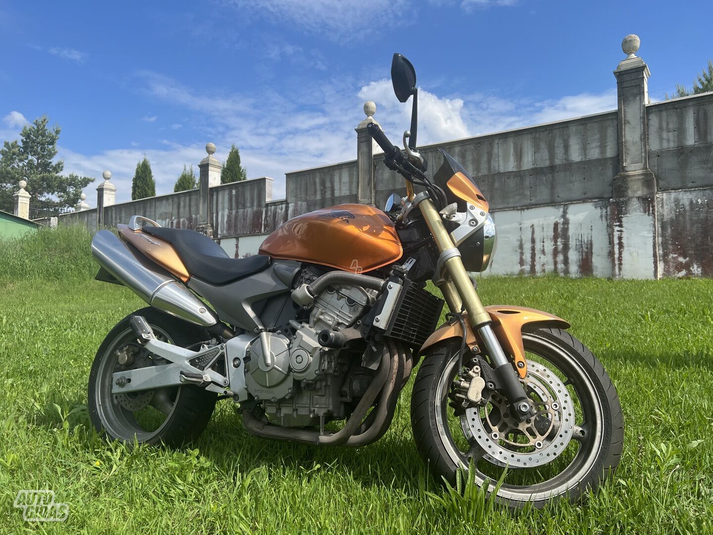 Honda Hornet 2005 y Classical / Streetbike motorcycle