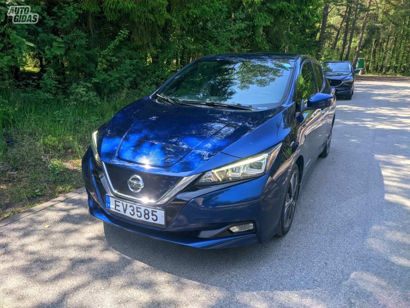 Nissan Leaf 2018 m Hečbekas