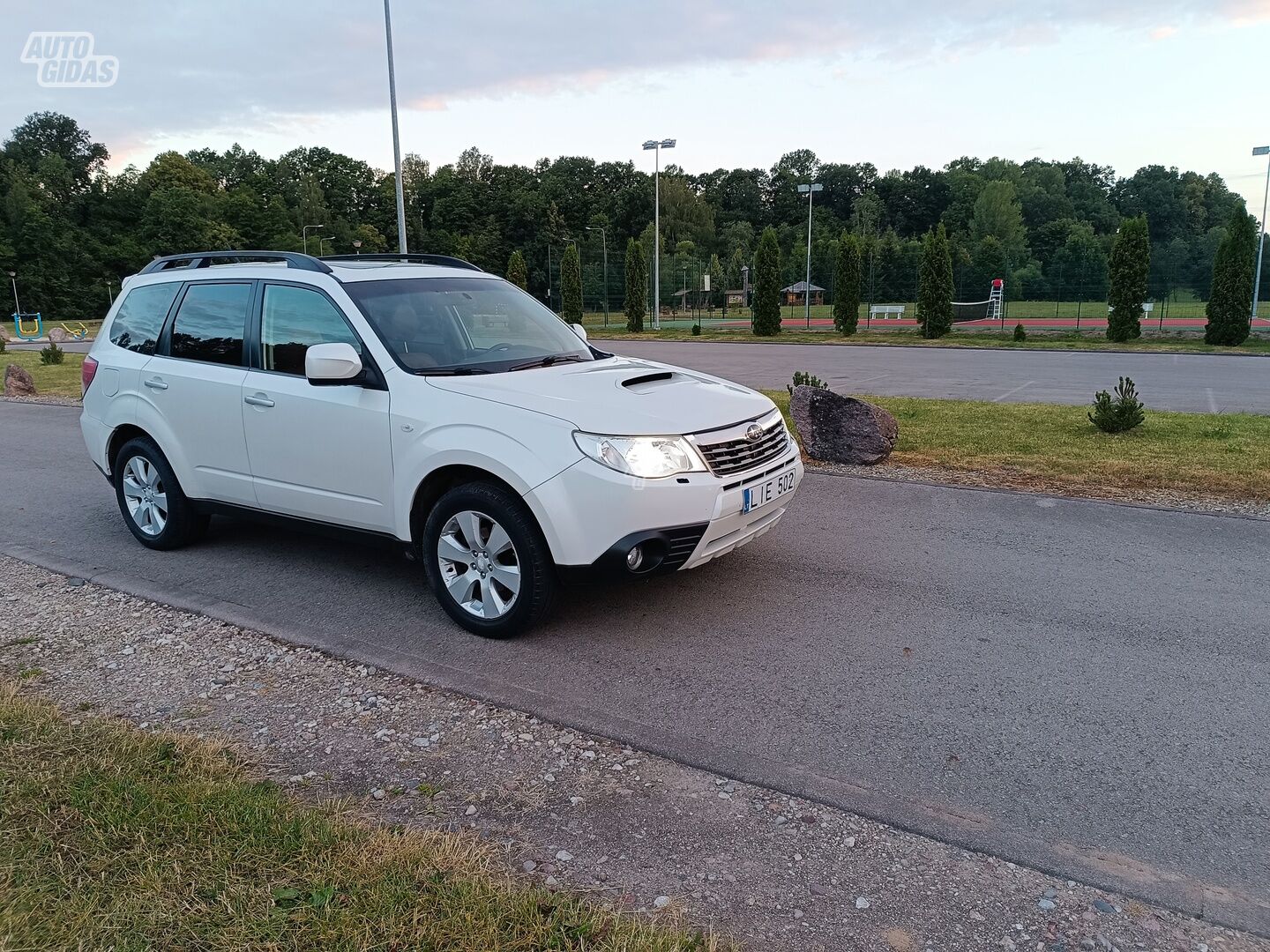 Subaru Forester 2010 y Off-road / Crossover