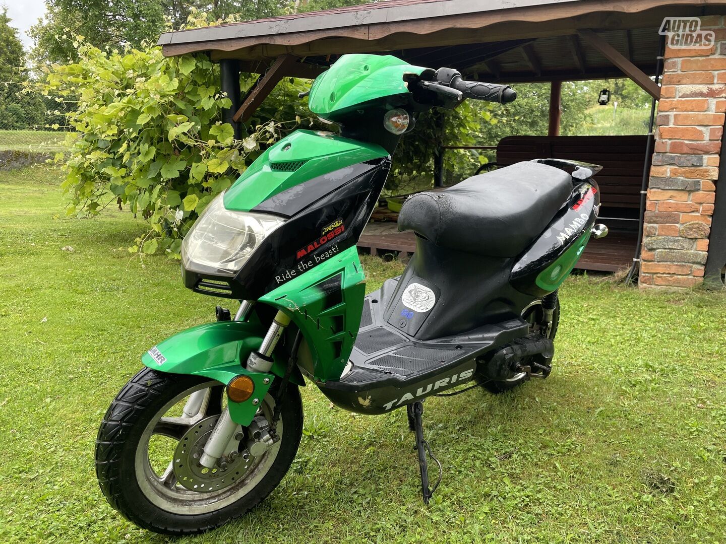 Qingqi QM 50QT- 6 2020 y Scooter / moped