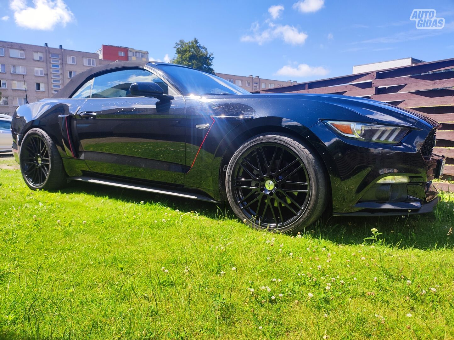 Ford Mustang 2017 y rent
