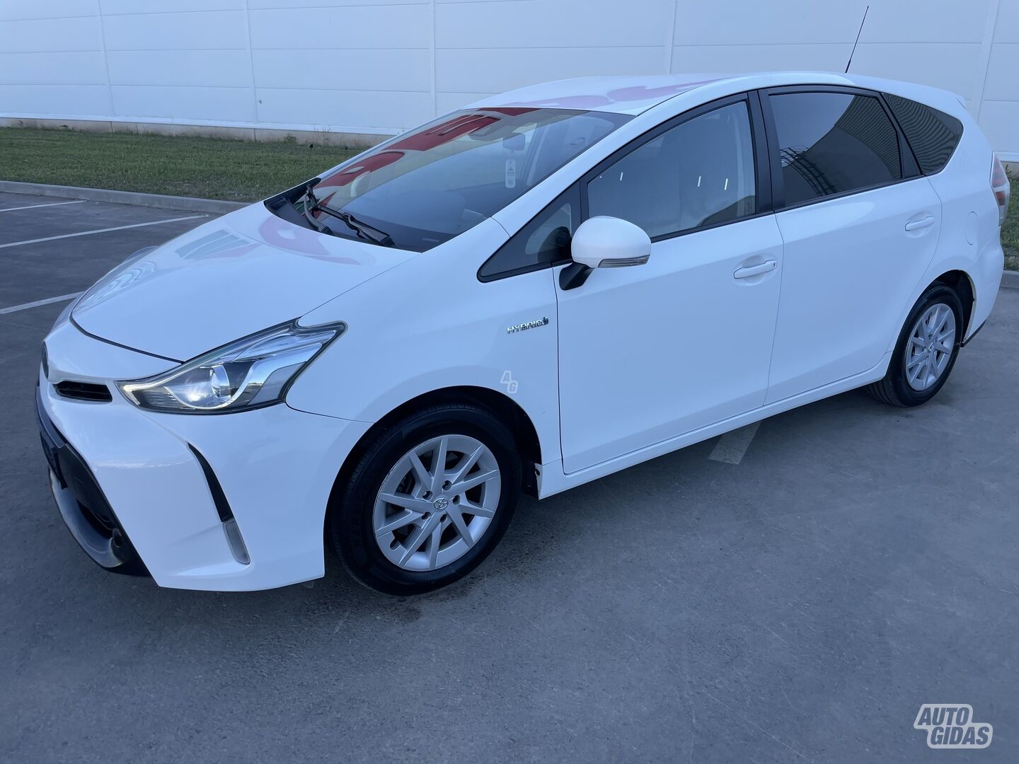 Toyota Prius+ 2019 m Vienatūris