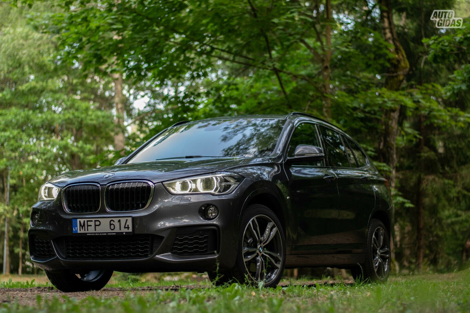 Bmw X1 2019 m Visureigis / Krosoveris