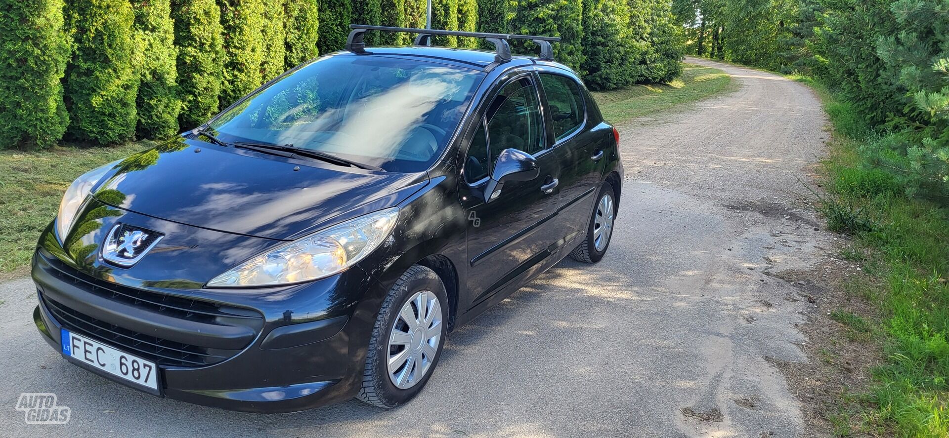 Peugeot 207 16V Presence 2006 m