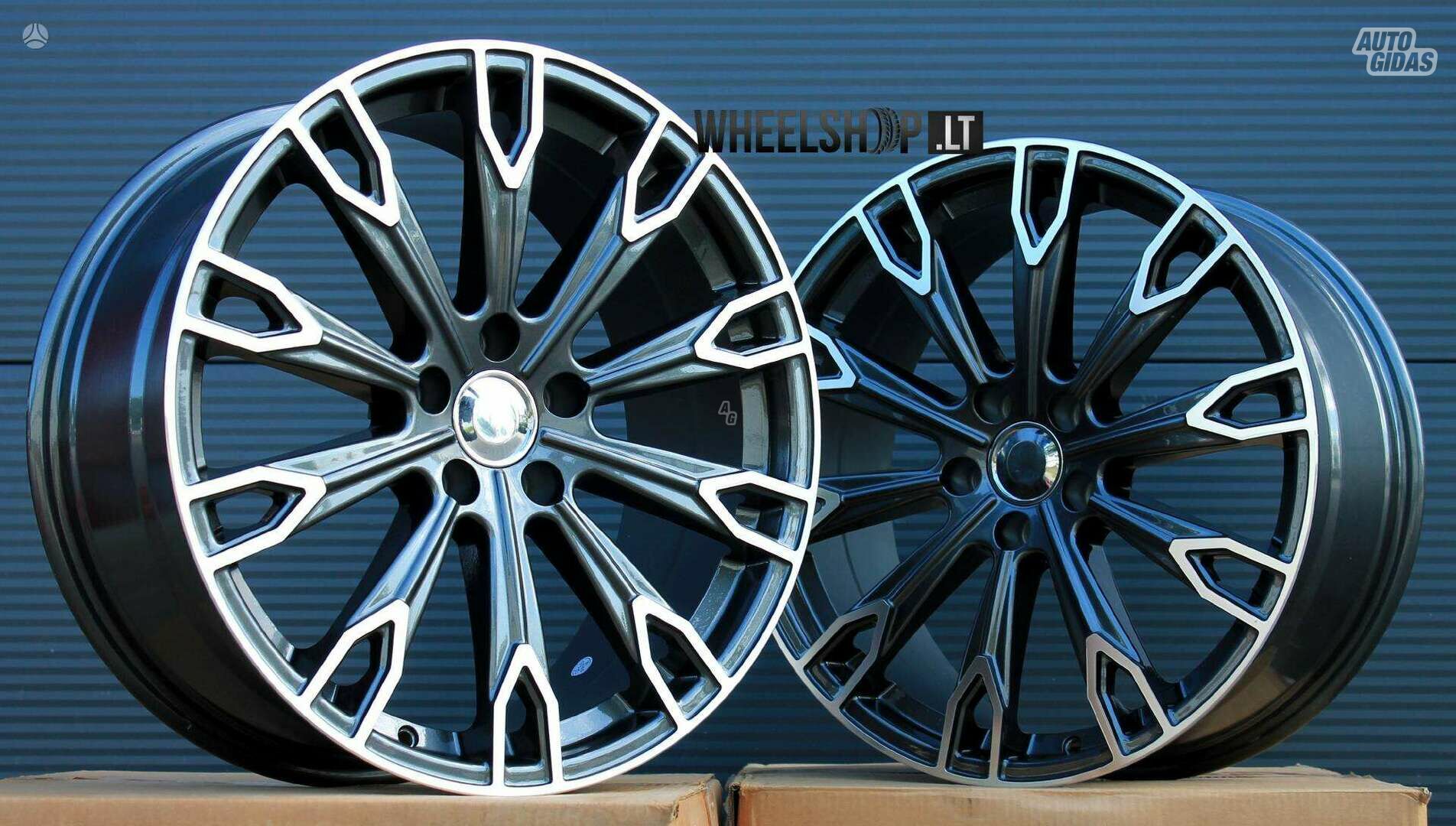 10 Spoke Grey Polished ratlankiai