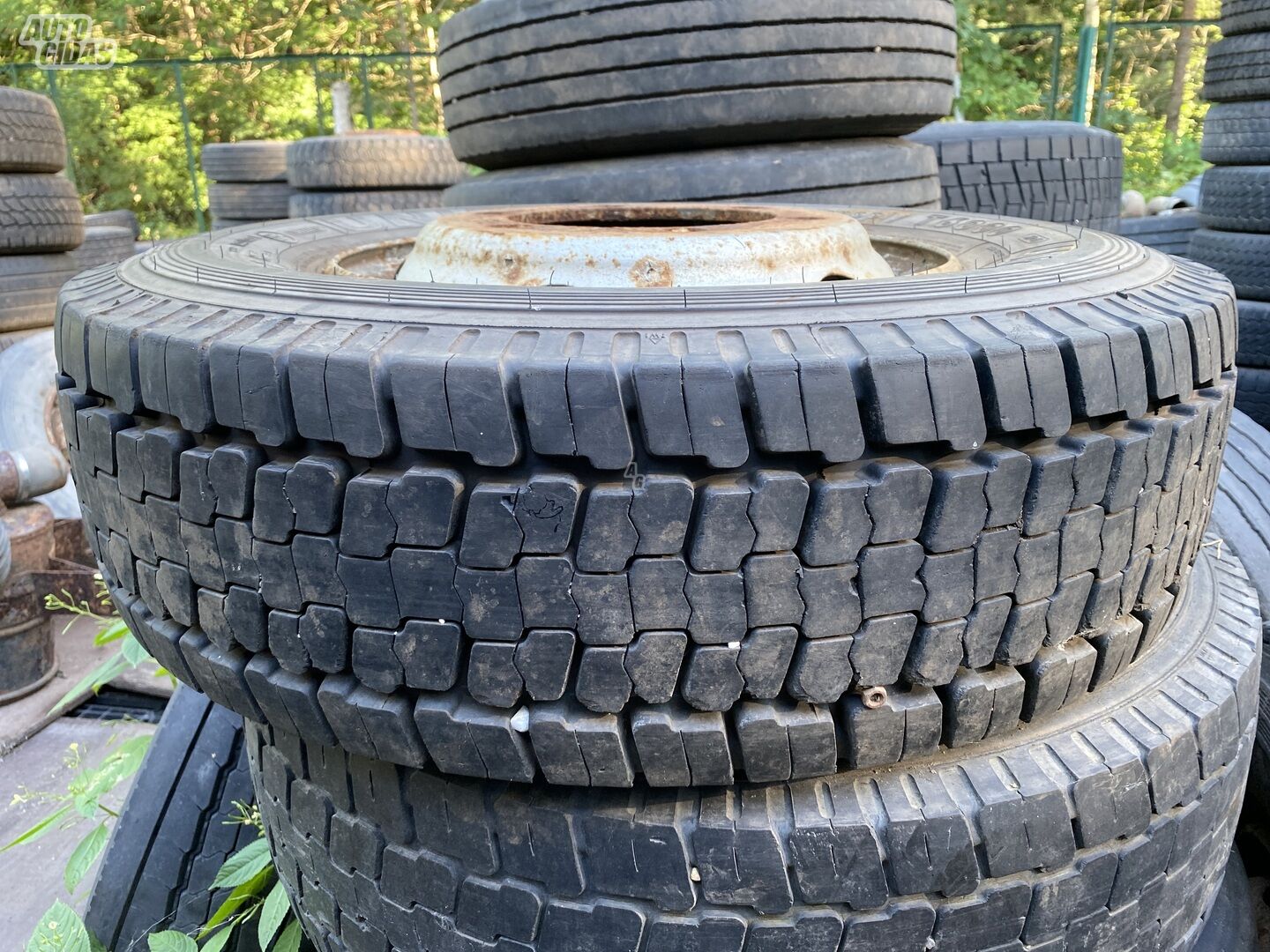 Uniroyal R17.5 universal tyres trucks and buses