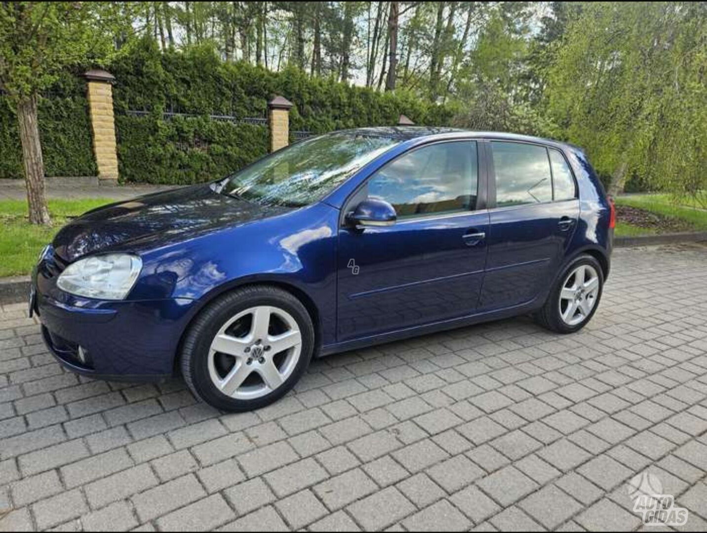 Volkswagen Golf 2005 y Hatchback