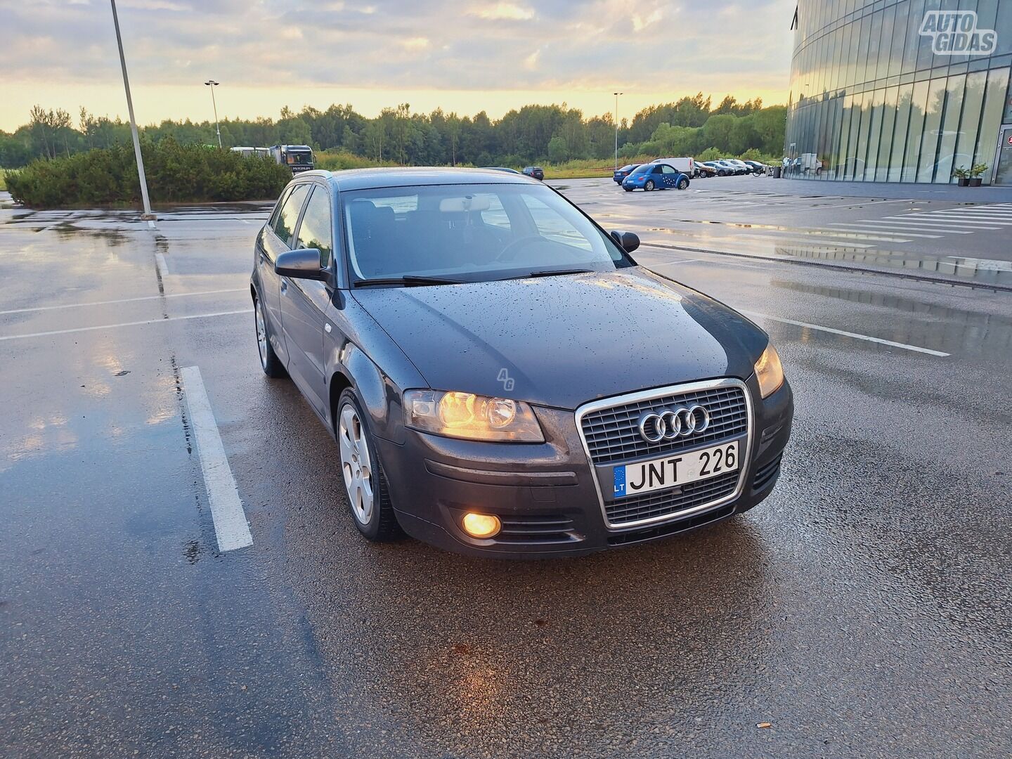 Audi A3 2006 m Hečbekas