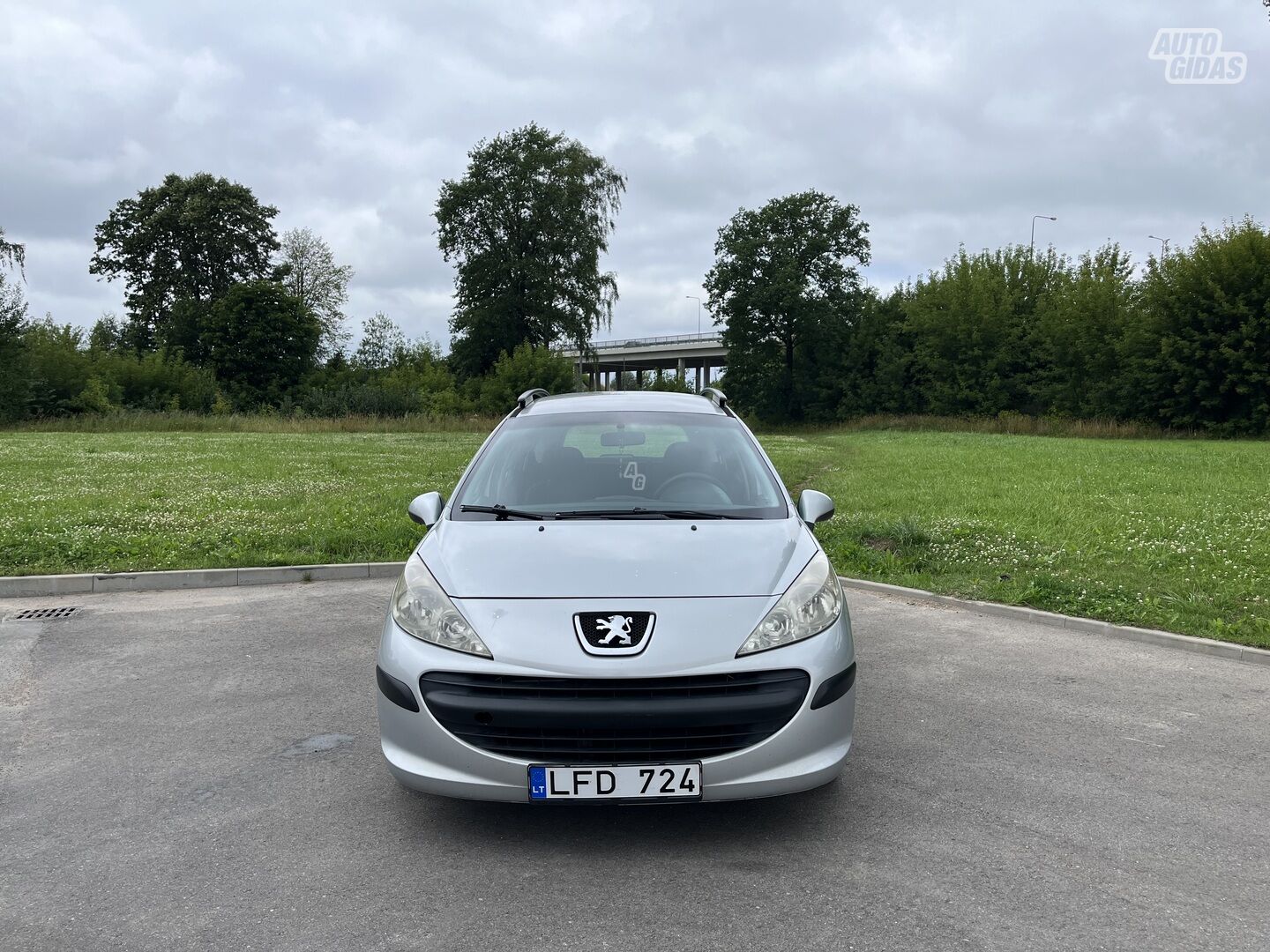 Peugeot 207 Presence 2008 m