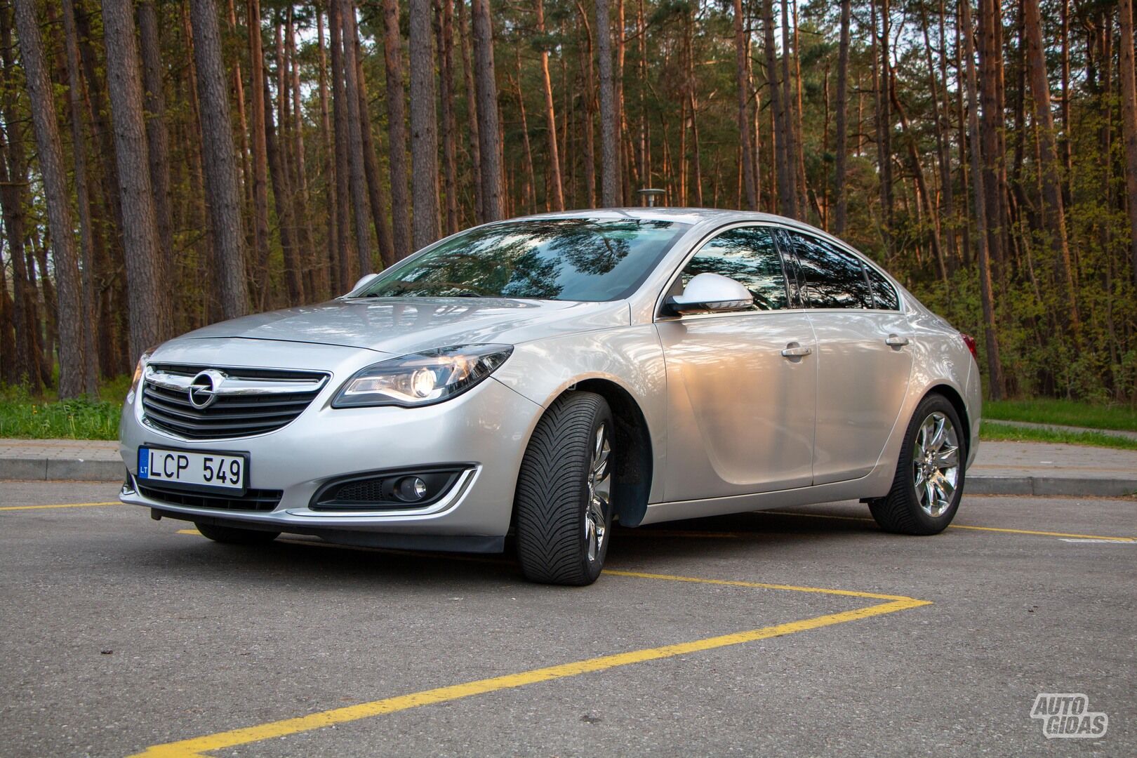 Opel Insignia Turbo (69) 2017 m