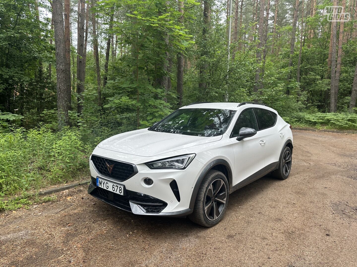 Cupra Formentor TSI 2022 m