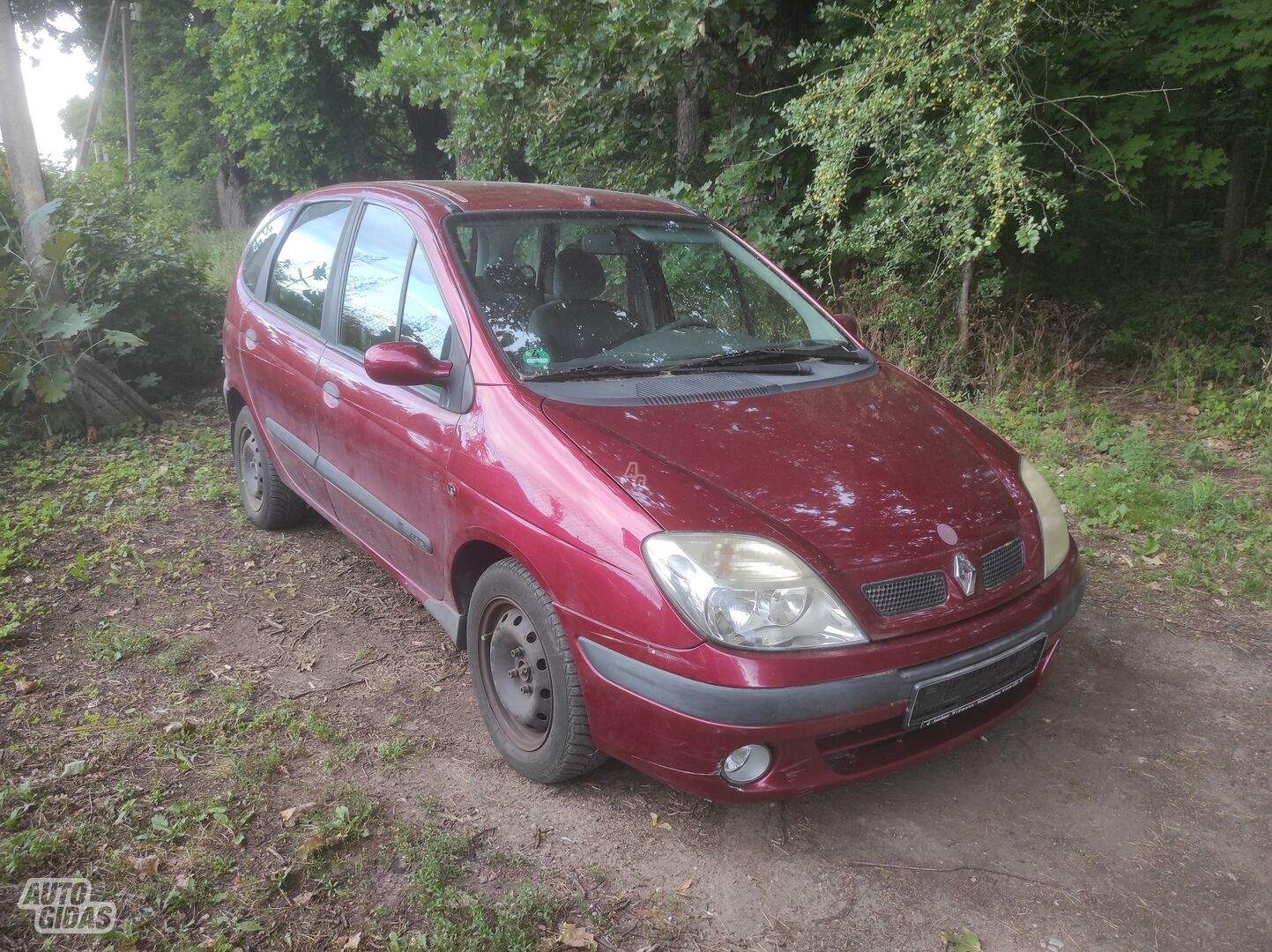 Renault Scenic 2002 m Vienatūris