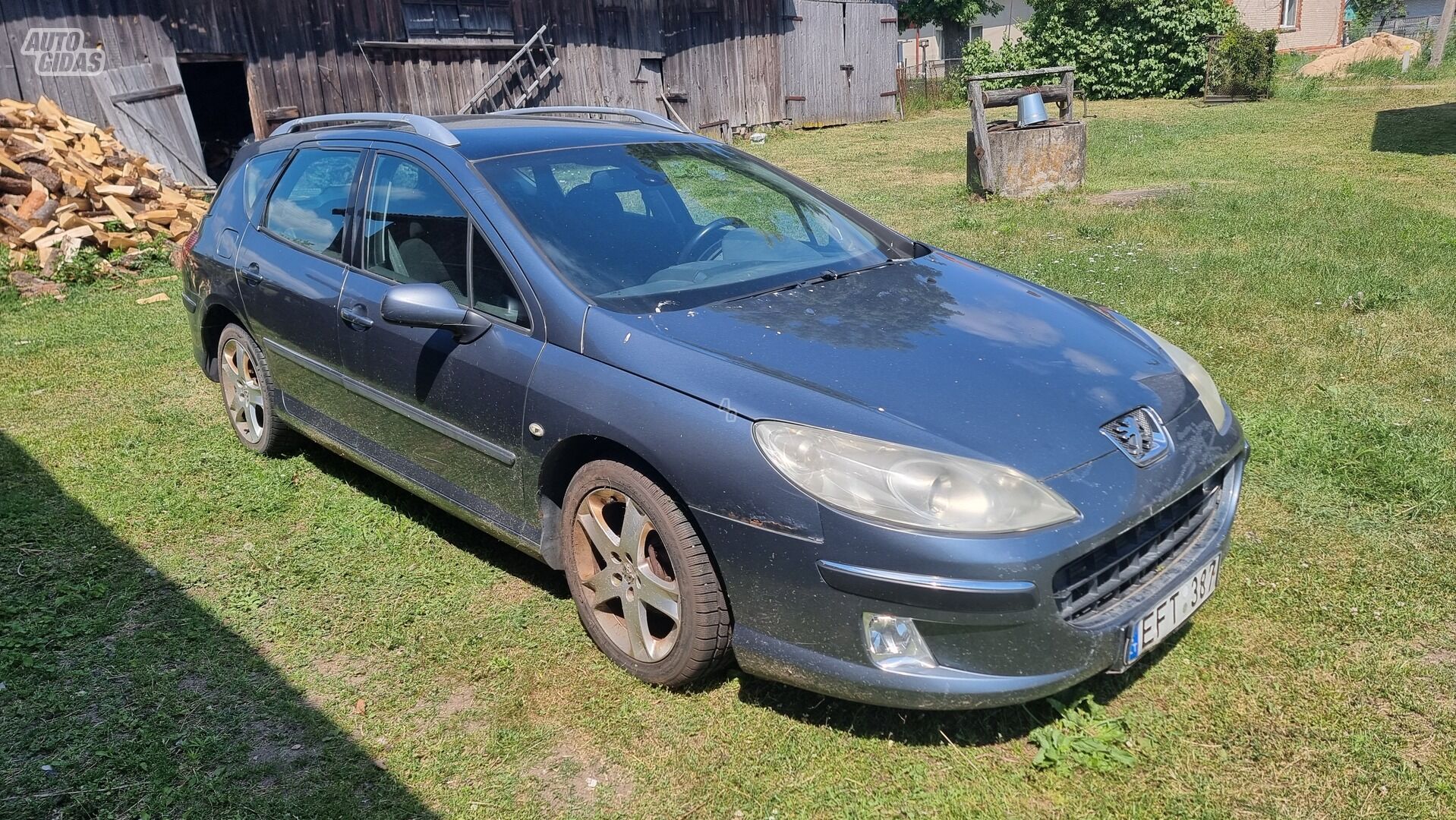 Peugeot 407 2005 m dalys