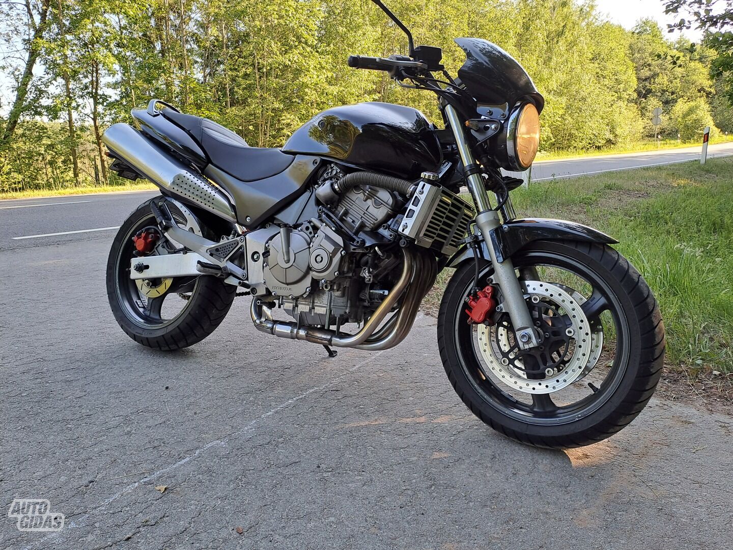 Honda Hornet 2001 m Klasikinis / Streetbike motociklas