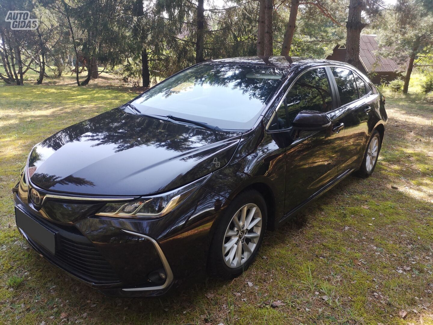 Toyota Corolla 2019 m Sedanas