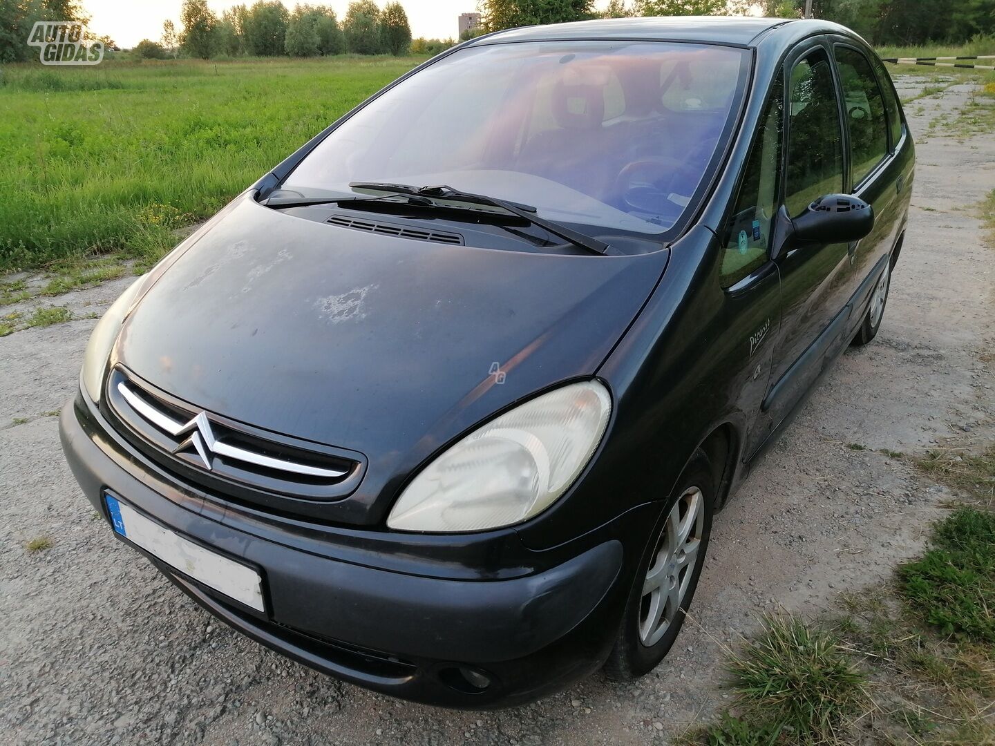 Citroen Xsara Picasso 2000 г Минивэн