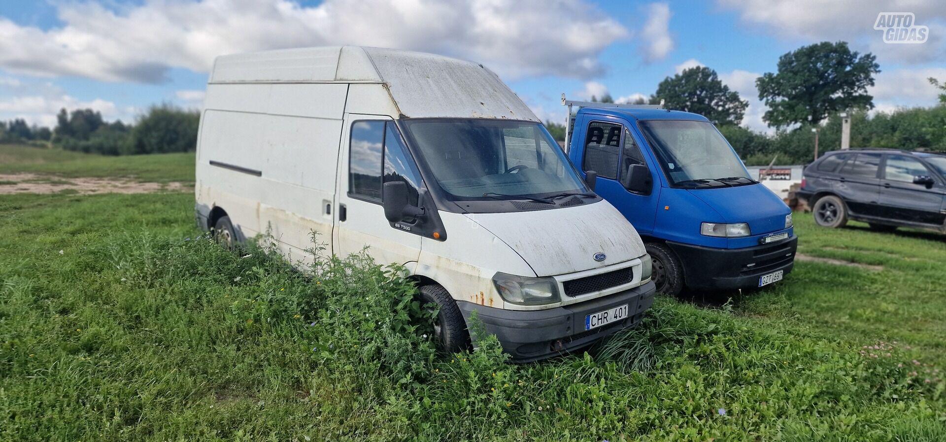 Ford Transit 2003 m Krovininis mikroautobusas