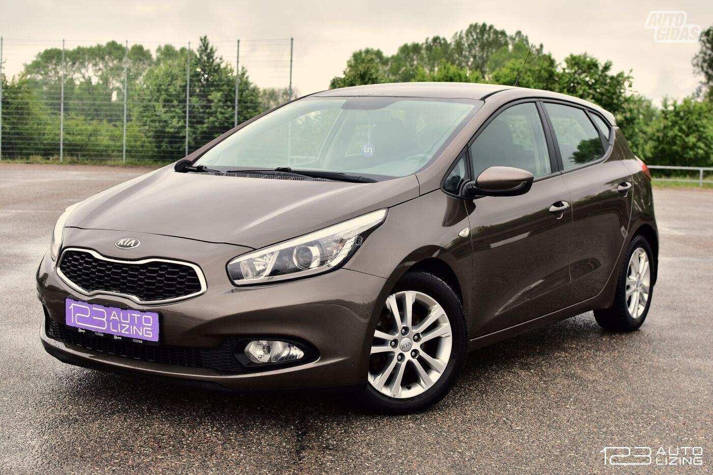 Kia cee'd 2013 m Hečbekas