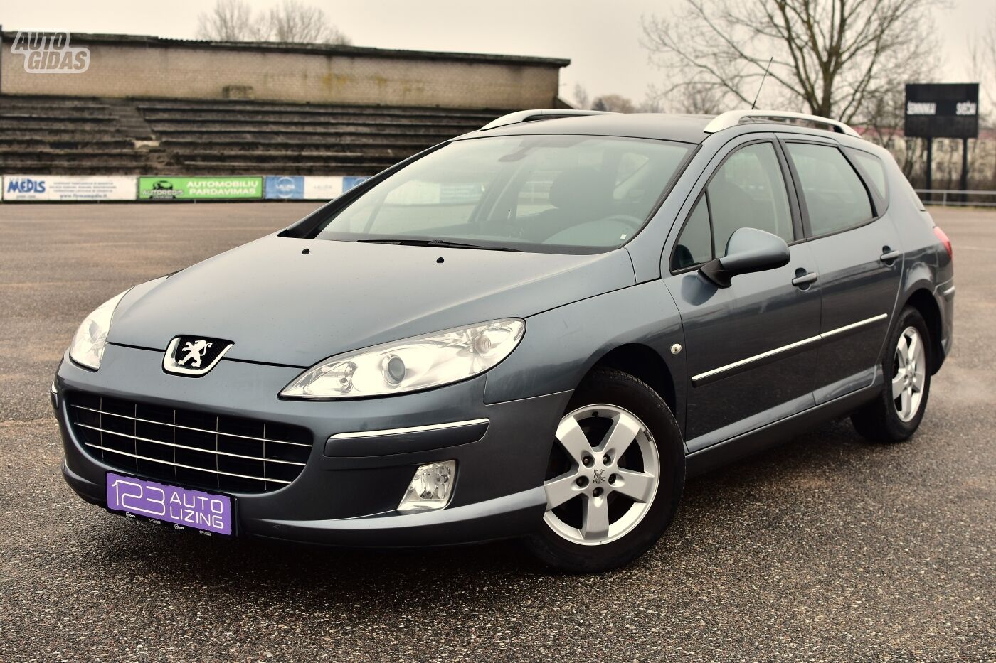 Peugeot 407 2010 y Wagon