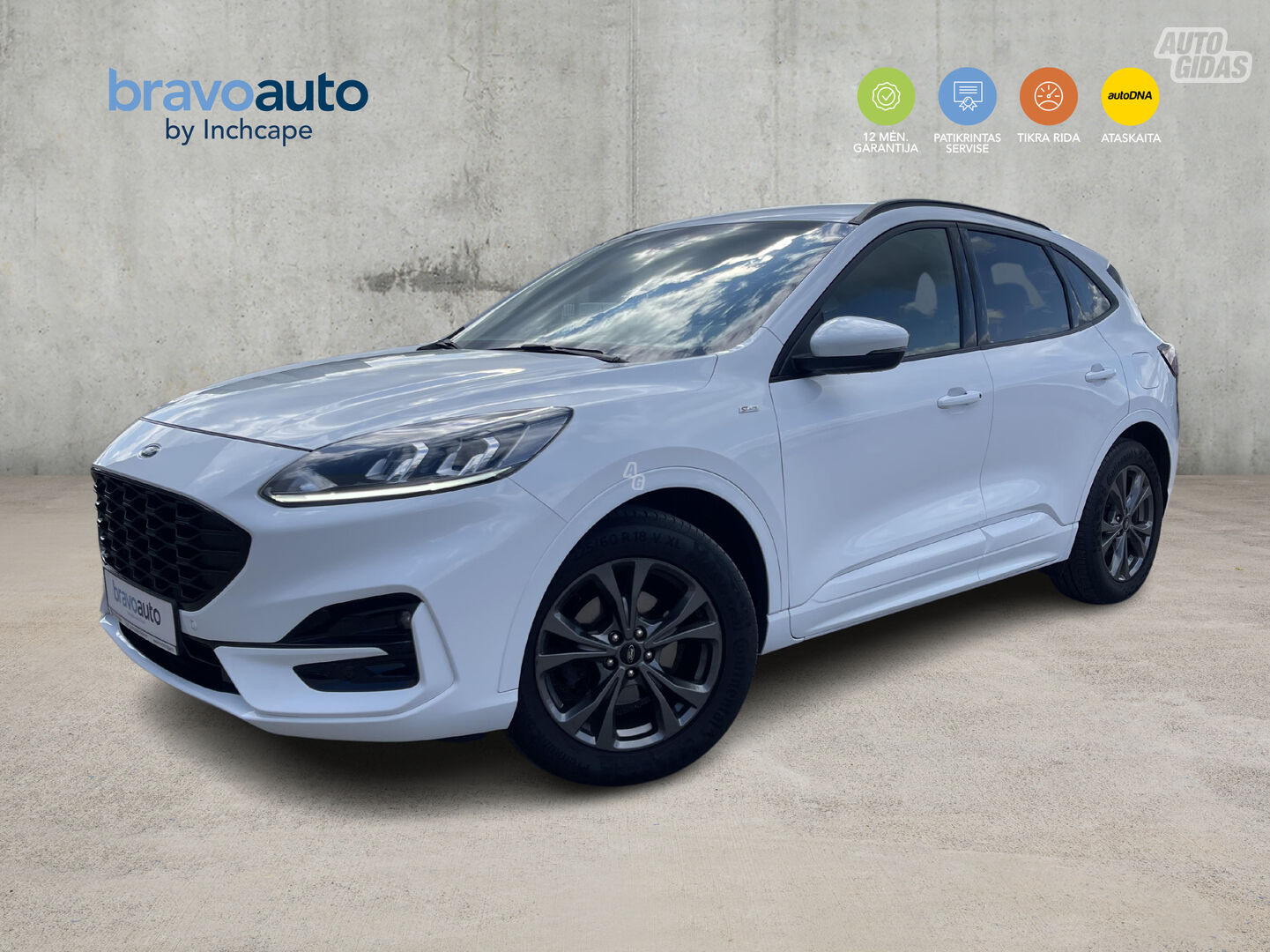 Ford Kuga EcoBlue 2020 y