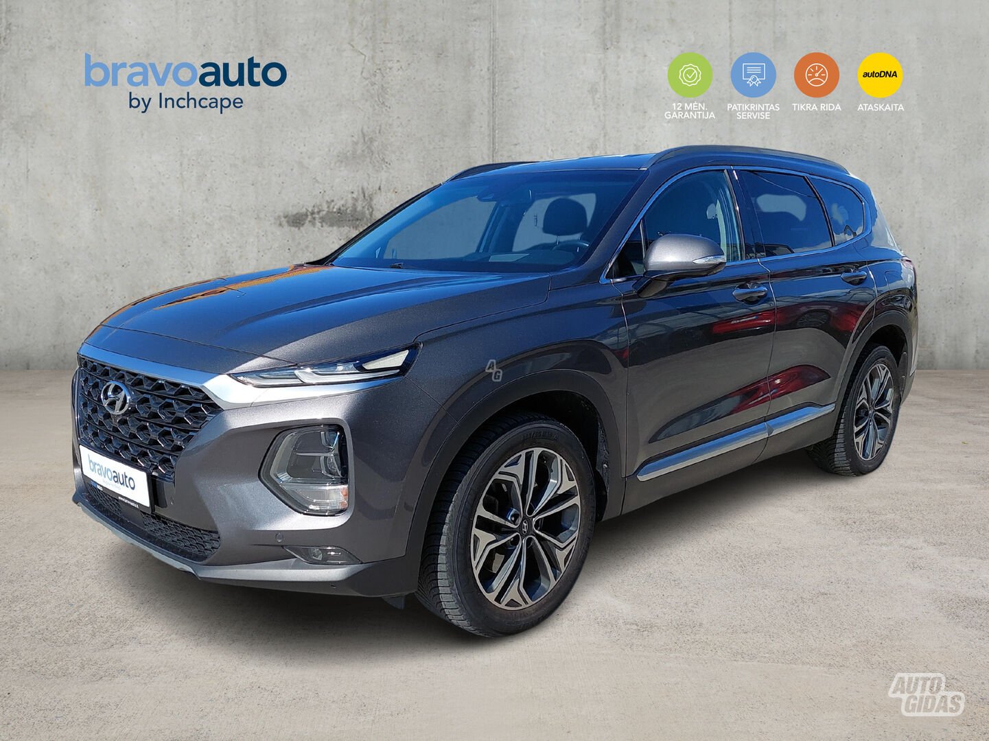 Hyundai Santa Fe 2019 г Внедорожник / Кроссовер