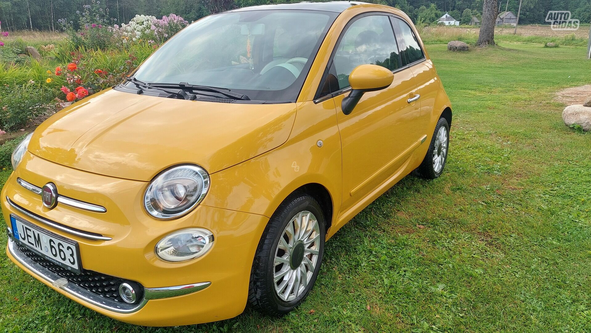 Fiat 500 2016 y Hatchback