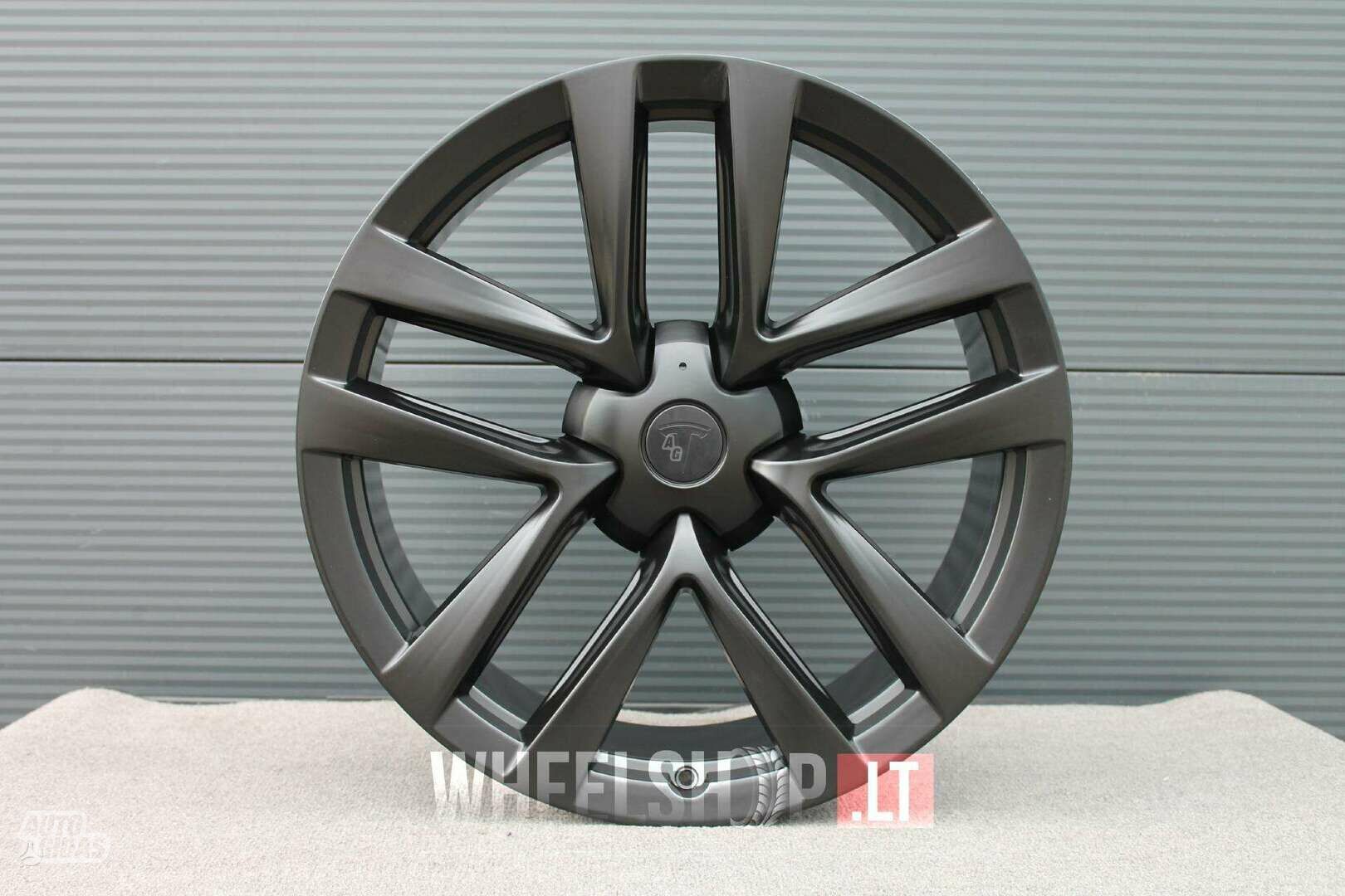 TESLA EU-YF5591 Style Satin light alloy R21 rims