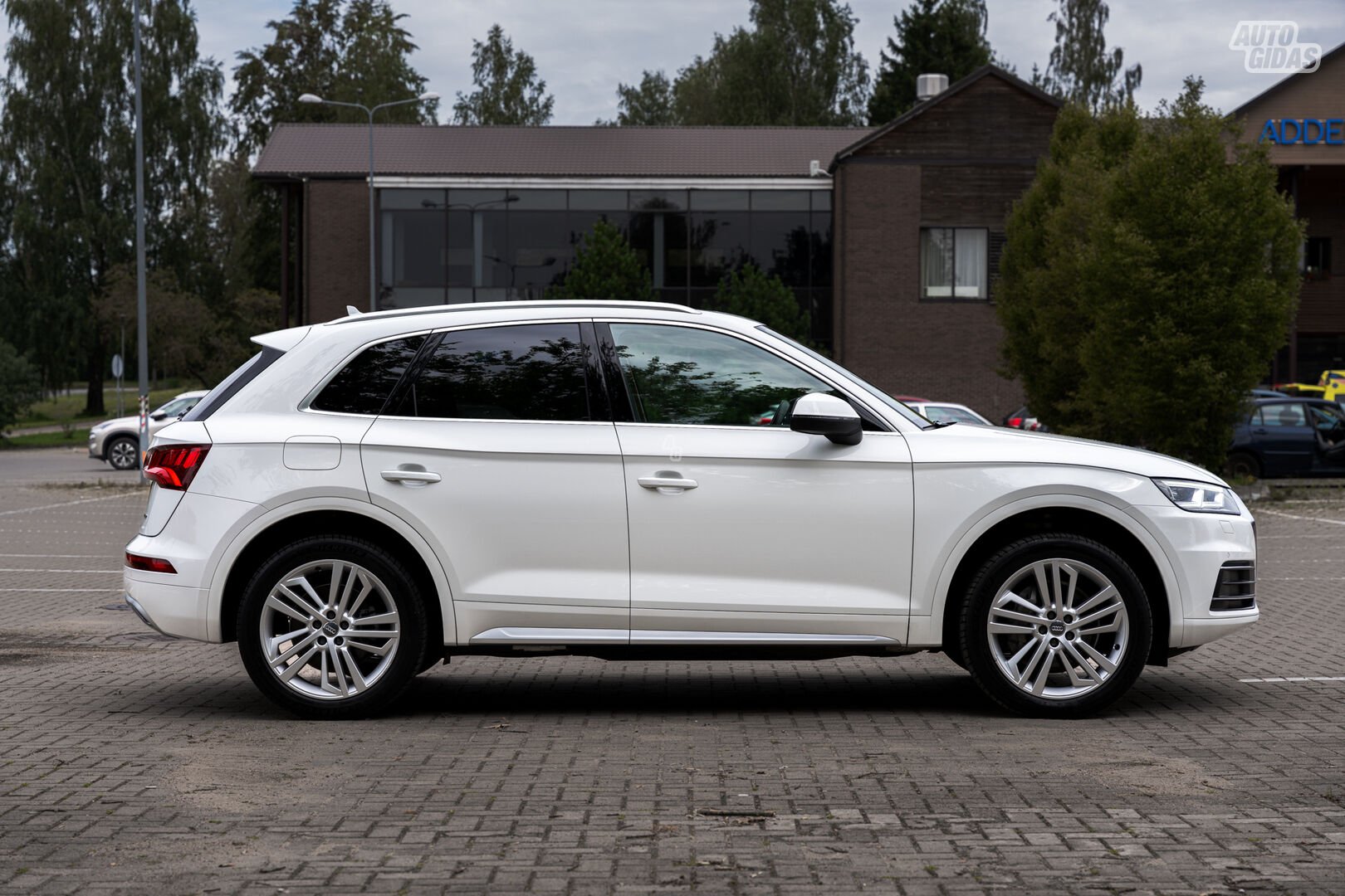 Audi Q5 2019 m Visureigis / Krosoveris