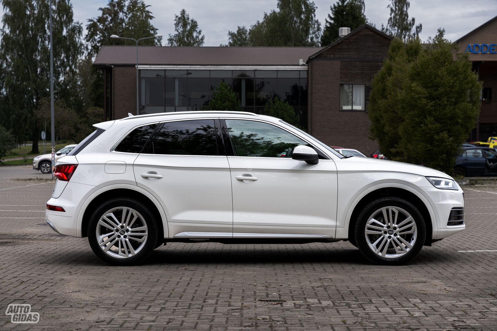 Audi Q5 2019 m Visureigis