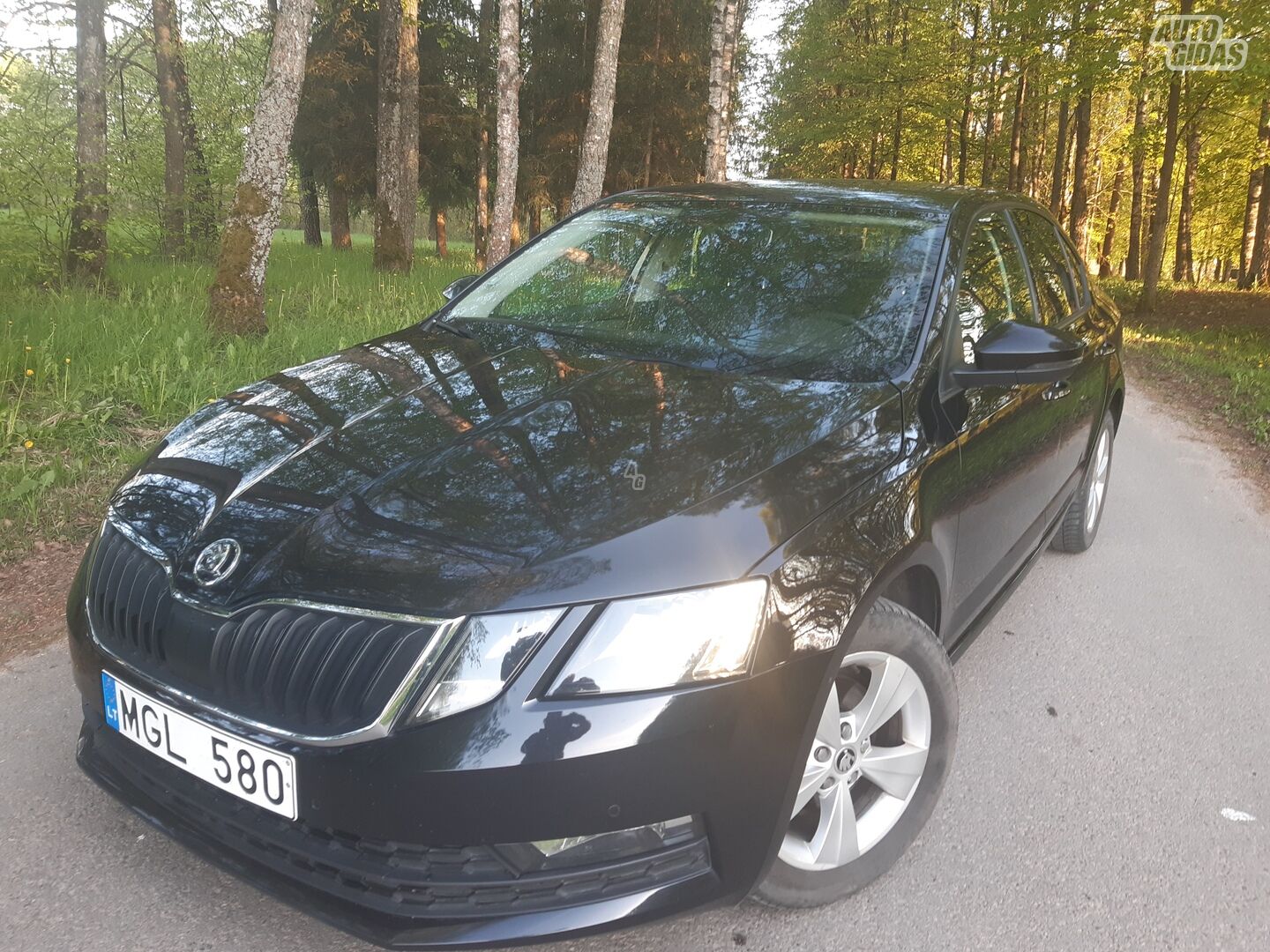 Skoda Octavia 2018 m Hečbekas