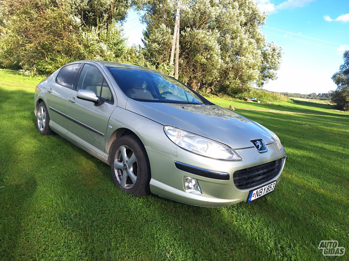 Peugeot 407 HDI ST Komfort EU3 2004 m