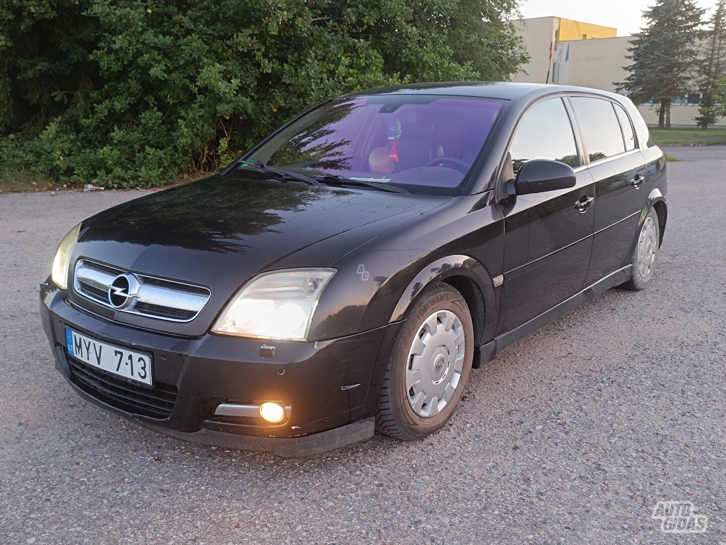 Opel Signum 2005 m Hečbekas