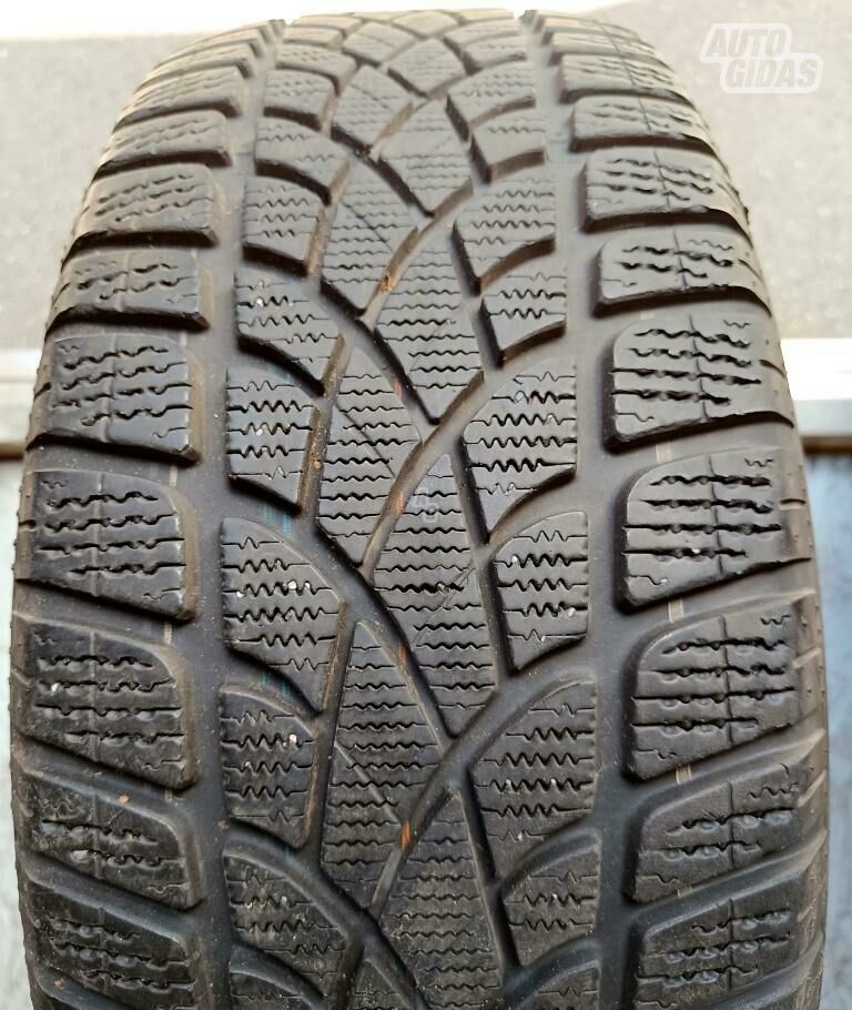 Dunlop R17 зимние шины для автомобилей