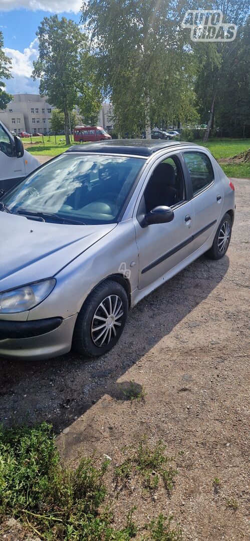 Peugeot 206 2001 m Hečbekas