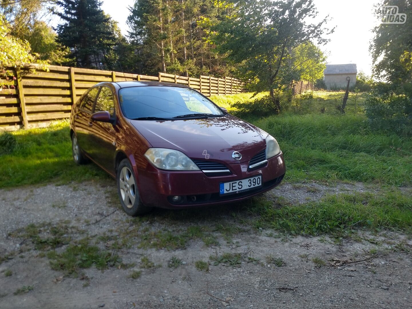 Nissan Primera d Acenta 2003 m