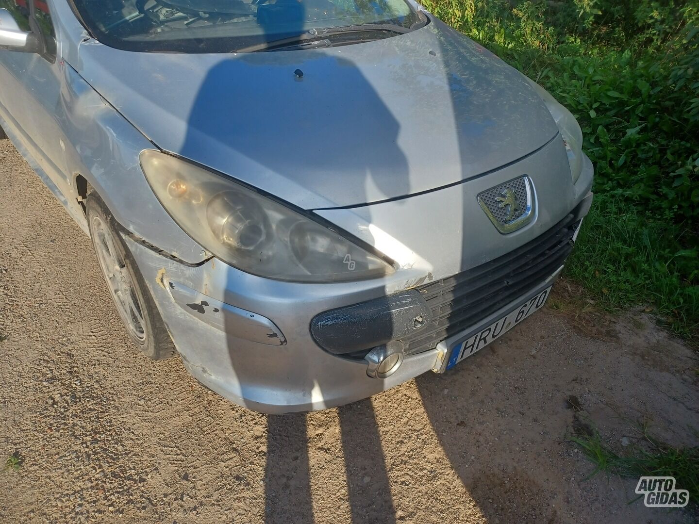 Peugeot 307 2006 m dalys